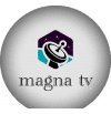 magna tv apk